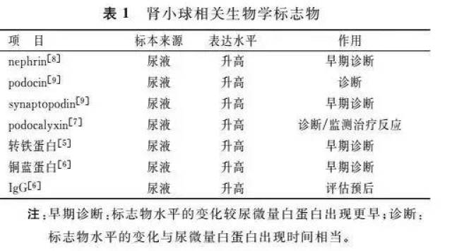 「专家论坛」糖尿病肾病诊断及预后生物学标志物的研究现状及展望