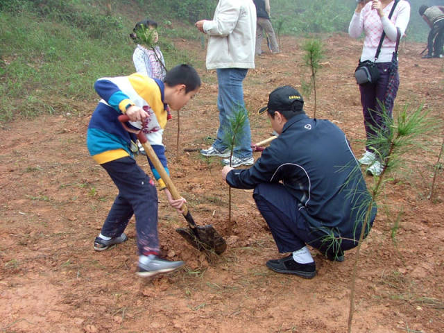 植树节公司团队活动组织植树,学生活动植树活动