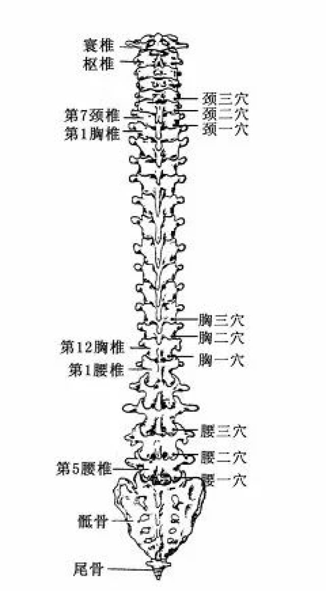 【基层中医适宜技术】中医微创—钩针技术