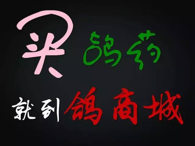 鸽肉与其他畜禽肉常规肉品质及主要营养成分比