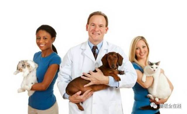 宠物诊疗行业发展前景看好,兽医人才需求大