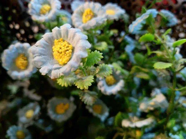 诺基亚7P值得买吗？10道问答为你解惑