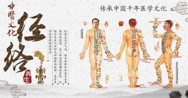 中医经络理论:无论是针灸,推拿,中草药,经络都起着指导作用