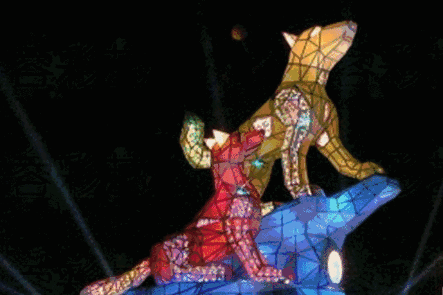 厦门元宵灯会在哪?六区活动全攻略,赏灯赏月赏花赏美人,约吗?