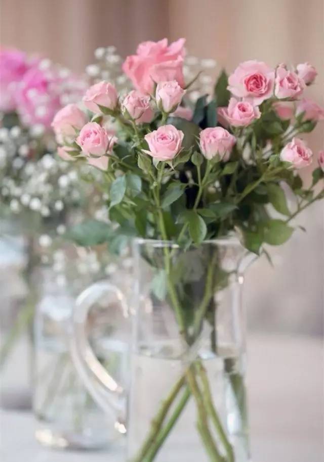 优雅的女人是月光下的湖水,是静静绽放的百合.