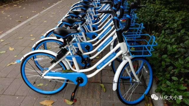 【重磅】哈罗共享单车空降从化,每周可免费骑