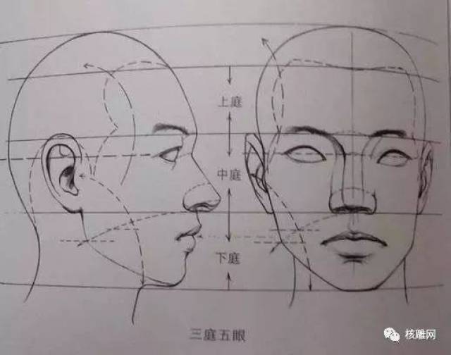 雕刻五官过程中的分布要参照比例,有的还要对称.