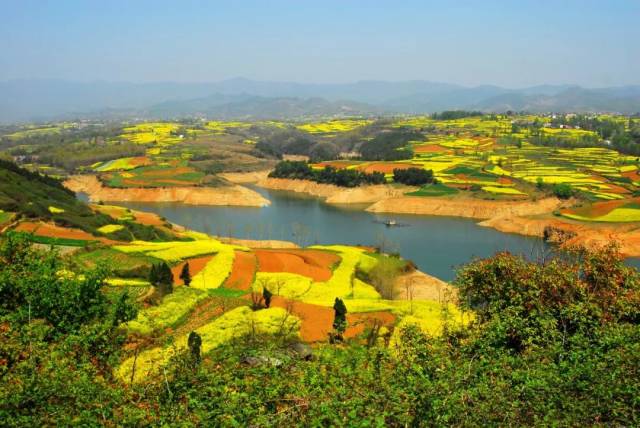 汉中旅游推介带来了陕西旅游早春的色彩斑斓,一片片金黄的油菜花海让