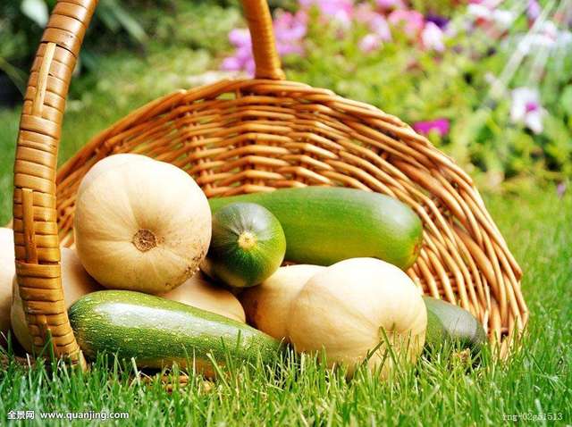 2018适合做兼职的微商项目有那些