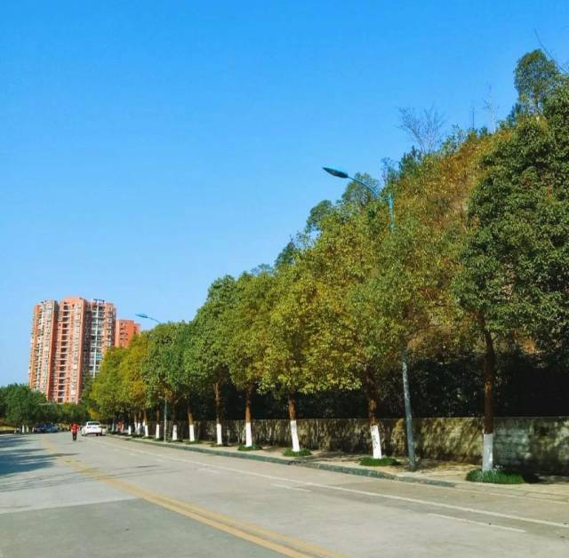 2018“中国最好大学”排名!四川27所高校上榜!你母校排第