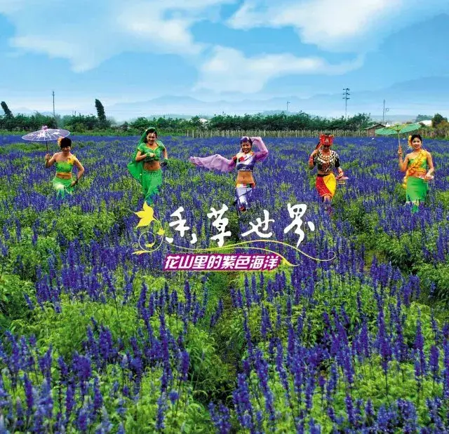 花都旅游景点大汇总,这些地方你都去过了吗?