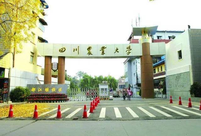 2018“中国最好大学”排名!四川27所高校上榜!你母校排第