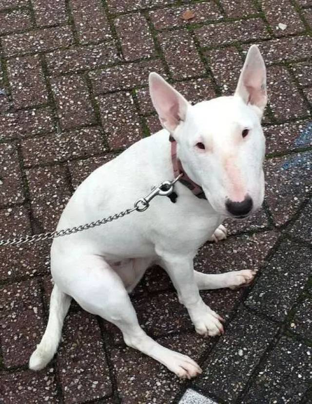 我是怪异杀手牛头梗,这是我的名片!