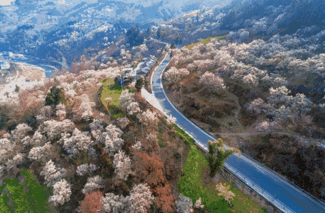 一到春天就美得不像话!就藏在绵阳这个小地方!