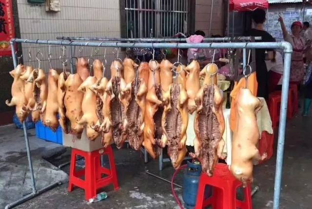 别拦我，我要去茂名“食年例”！