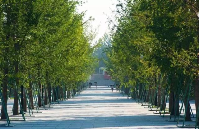 2018“中国最好大学”排名!四川27所高校上榜!你母校排第