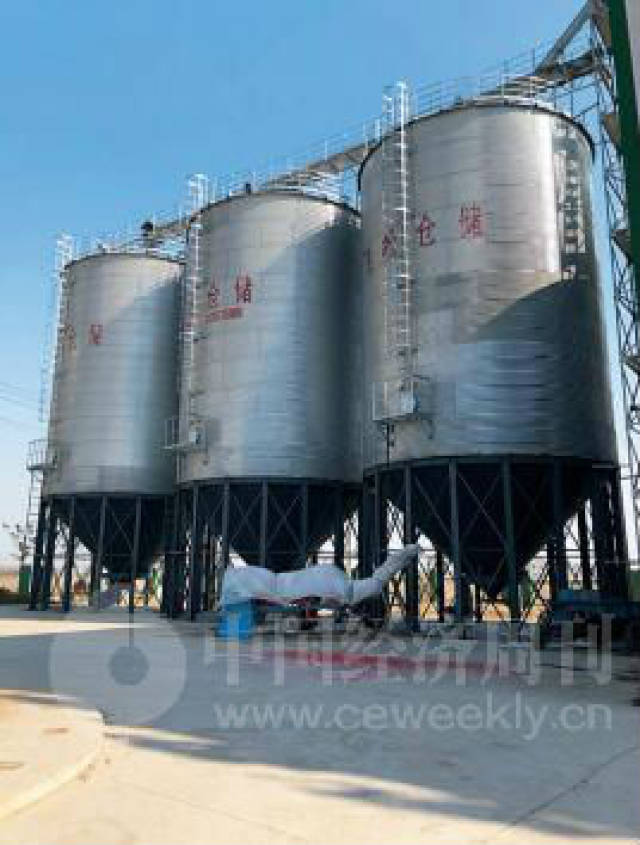 记者回乡记:10位记者 10个家乡故事