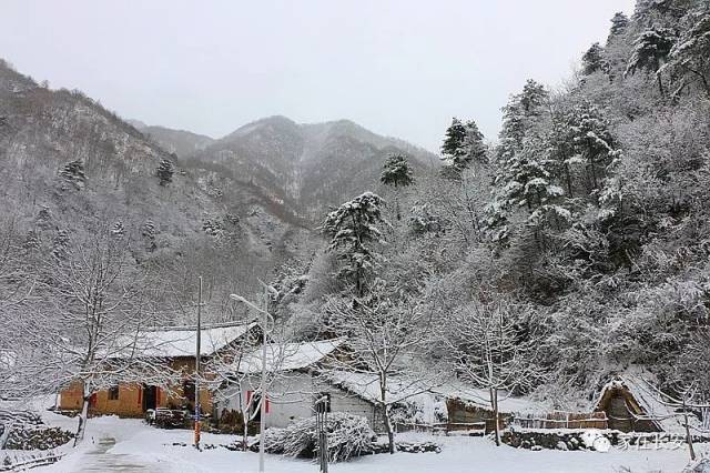 多变的秦岭终是给我们惊喜不断,圣洁和完美喜欢秦岭雪景,大雪纷飞