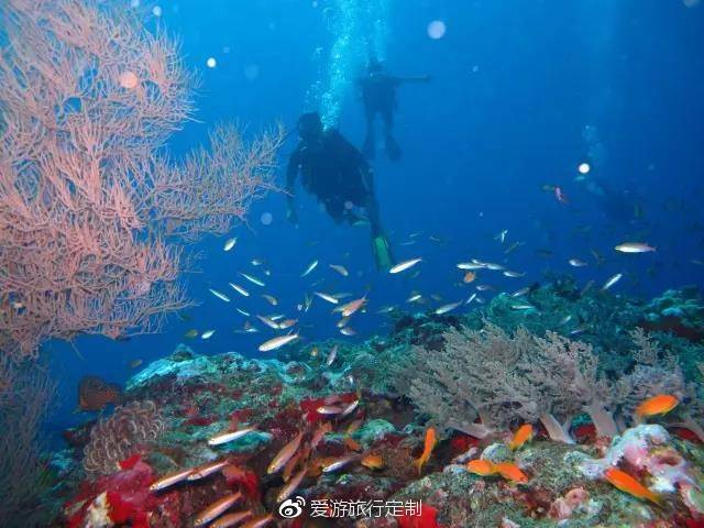 普吉岛攻略 | 良心干货普吉岛最全攻略(交通+签