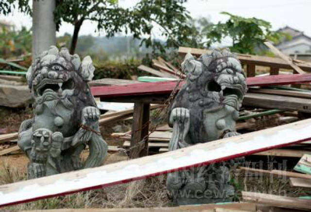 记者回乡记:10位记者 10个家乡故事