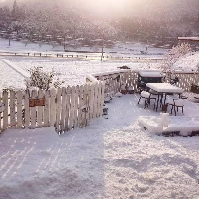 被厚雪覆盖的冬天,院子又是另外一片景色▼