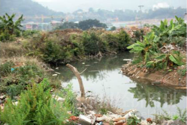 记者回乡记:10位记者 10个家乡故事