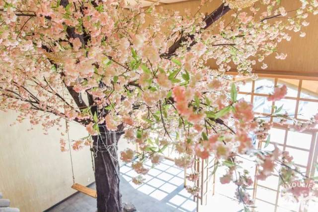 惠州这家樱花主题餐厅!能让少女们一边吃寿司一边看樱花.