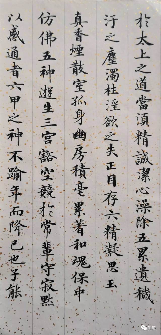 知道书画 | 于志强 临墨本灵飞经 其一