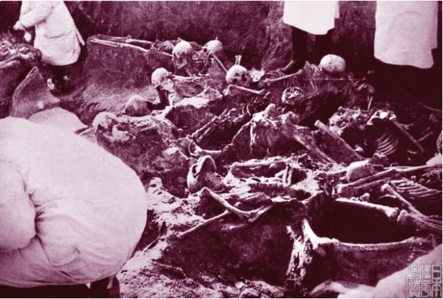 琵琶山下尸骨累累:图说日军在济南及山东各地集中营对战俘的虐杀