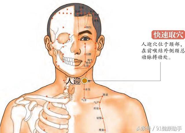 穴位养生|高血压,咽喉肿痛,气喘,瘰疬,瘿气按揉人迎