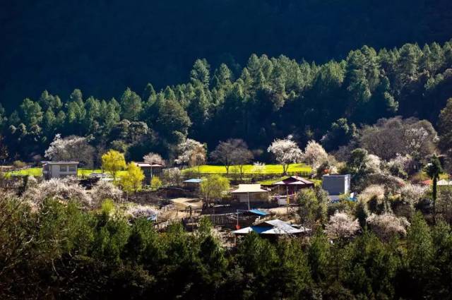 川藏公路横贯鲁朗镇全境,素有"林芝东大门"之