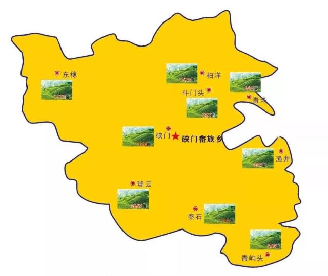 知识|2018最详细福鼎茶园分布图