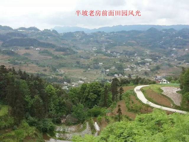 寻根问祖话吉地——筠连维新镇东云村四组李氏半坡老宅