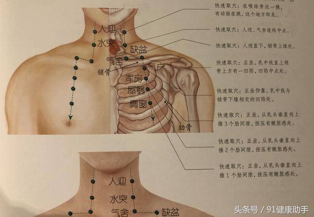 穴位养生|呼吸喘呜,咽喉肿痛,咳嗽按水突,清热利咽,降