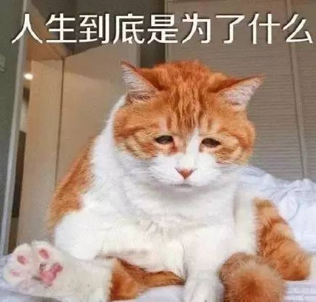 血腥泉,密西西比,美国 写到这里,小编在电脑面前的表情已经变成下图丧