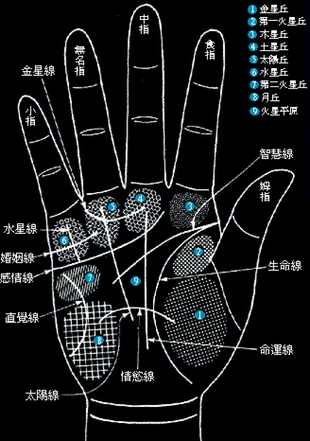 先上一张手掌分布图 生命纹包围的掌丘范围大的,也是精力充沛,范围小