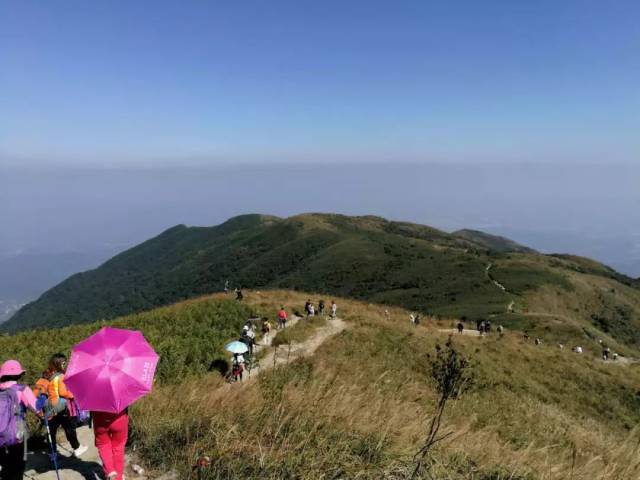 活动| 3月10日(周六)拼登罗浮山冲飞云顶活动