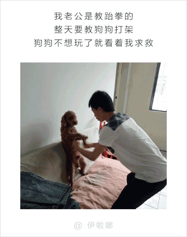 男人和狗之间的互动,可以说是很可怕了
