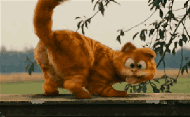 400_248gif 动态图 动图