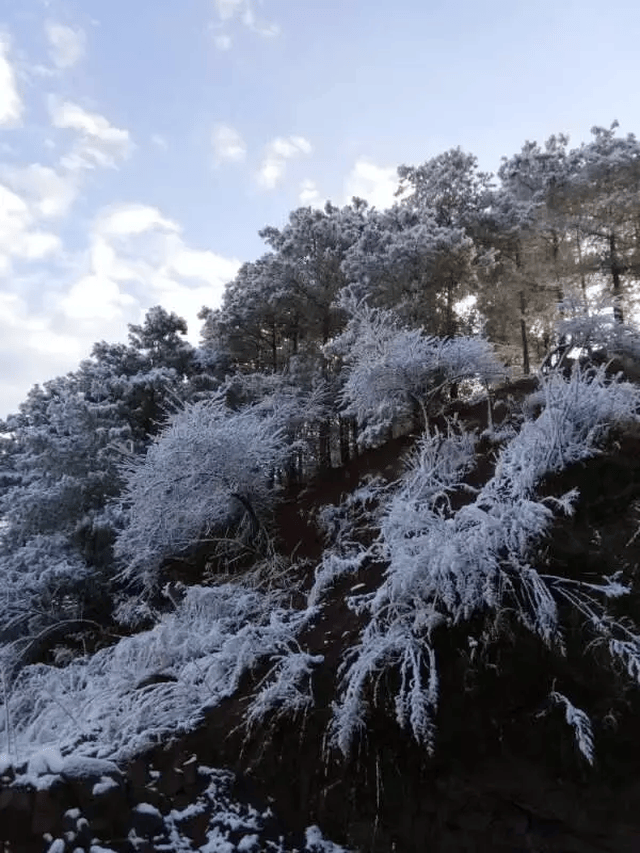 阳春三月,会泽下雪了!