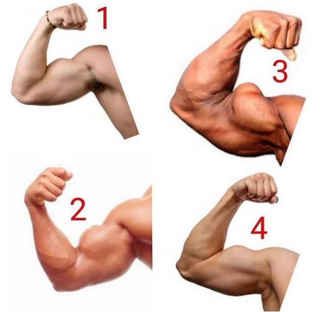 四种最漂亮肱二头肌,你想练出哪一个?