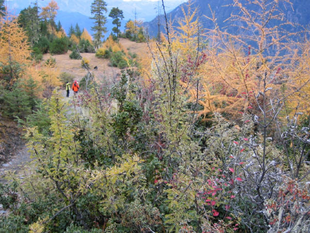 那座山叫贡嘎,七天七夜到达三岩龙乡,再见,麦地贡嘎!