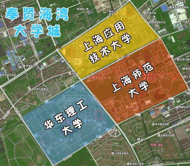 手机搜狐网