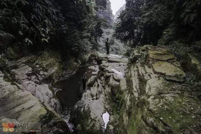 下面就是传说中的宜宾"第三海——天宫山茶海",景色非常秀丽.