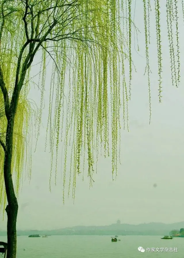 ϡͩ |紺