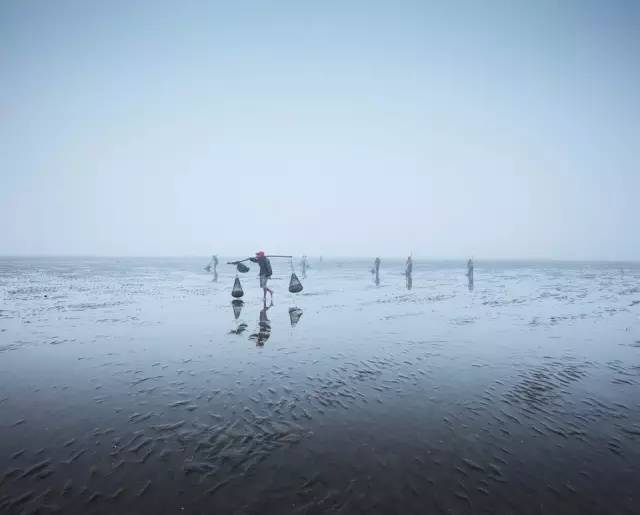 图片作者未知 2.淤泥质海岸 淤泥海岸,多为滩涂.