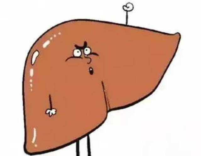 饮食调理方法教你轻轻松松降肝火!