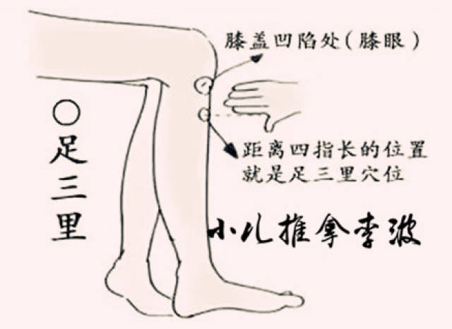 【主治】腹胀,腹痛,呕吐,泻泄等症 【临床应用】按揉足三里能健脾和