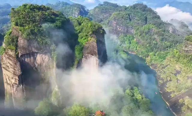 悟源涧老枞水仙 | 来自正岩山场的老枞味是什么