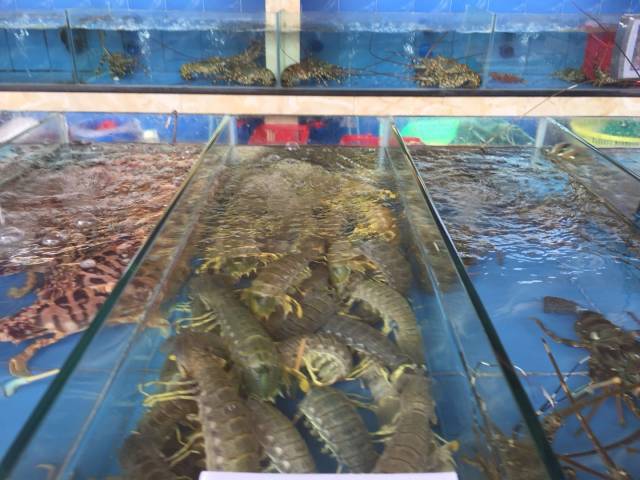 三亚湾海鲜去哪吃?2018年吃海鲜到凤凰海鲜广场